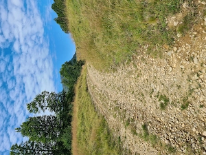 Teren Breb Maramures - imagine 2