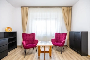 Casa parter, renovata, mobilata, gradina amenajata, str Petofi Sandor-Dumbravita - imagine 11