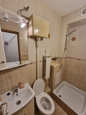Apartament 3 camere de inchiriat zona Dumbrava-Nord - imagine 4