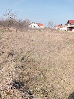 Teren intravilan de vânzare în Sacalaz - imagine 3