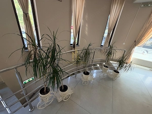 DE VÂNZARE / ÎNCHIRIERE – SPAȚIU COMERCIAL AMENAJAT HORECA, BURDUJENI - imagine 11