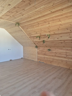 Casa P+M in localitatea Lumina, centru - imagine 8