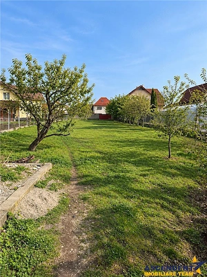 Pet friendly! Garsoniera de inchiriat, la casa, Sanpetru - imagine 5