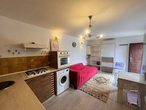 Apartament 2 camere la curte  - imagine 4