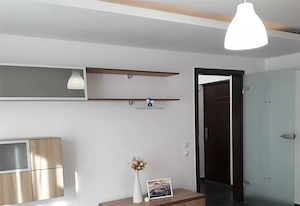 Inchiriere Apartament 2 Camere Decomandat Padesu - imagine 10