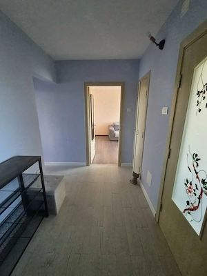 3 camere, Livada cu Nuci, Ozana  - imagine 4