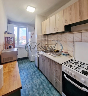 Apartament situat Ultracentral - imagine 6