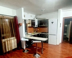 Închiriez apartament doua camere str.Smardan Bragadiru - imagine 3