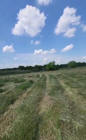 Vânzare 7.247mp teren Buftea pe malul lacului - imagine 4