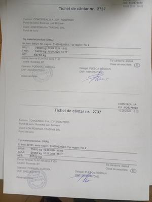 Căței caucaziani 