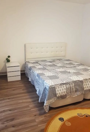 Z0na Modern - Apartament 1 Camera - Parter  - imagine 6