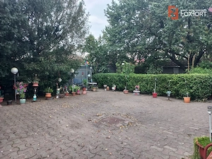 Potential de dezvoltare in 5-6 parcele 3.000 mp in Plopi | Front 27 m - imagine 12