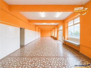 Spatiu comercial 128 mp, vitrinat, vad comercial format, acces direct, potential investitional, posi - imagine 12