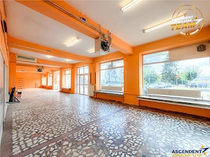 Spatiu comercial 128 mp, vitrinat, vad comercial format, acces direct, potential investitional, posi - imagine 20