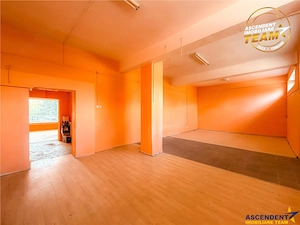 Spatiu comercial vitrinat, cu dublu acces 257 mp Sfantu Gheorghe - imagine 15