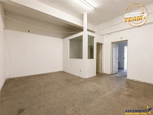 Spatiu comercial 128 mp, vitrinat, vad comercial format, acces direct, potential investitional, posi - imagine 11