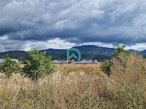 Teren intravilan 900 mp, Cristian, Brasov - imagine 6