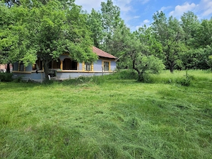 Teren intravilan 3.000 mp cu casă bătrânească   Cătunu, Teleorman - imagine 2
