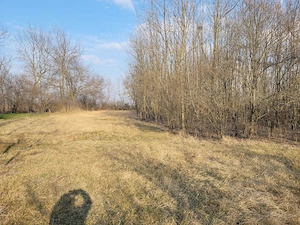 Teren intravilan 3.000 mp cu casă bătrânească   Cătunu, Teleorman - imagine 5