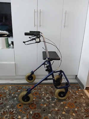 vanzari carut pt cumparaturi pt batrani