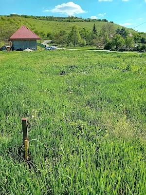 teren de vanzare