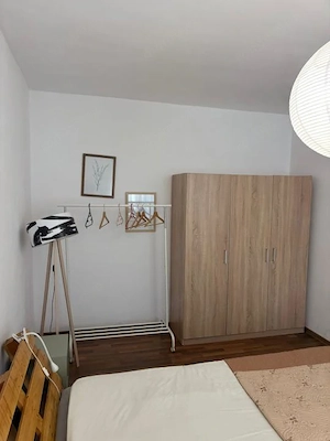 Apartament 2 camere, 50mp, parter, zona Muzeul Apei , 5min de VIVO - imagine 6