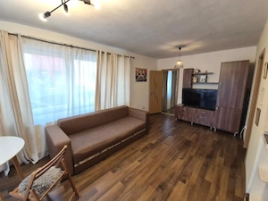 Apartament 2 camere, 50mp, parter, zona Muzeul Apei , 5min de VIVO - imagine 4