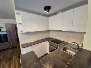 Apartament 2 camere, 50mp, parter, zona Muzeul Apei , 5min de VIVO - imagine 3