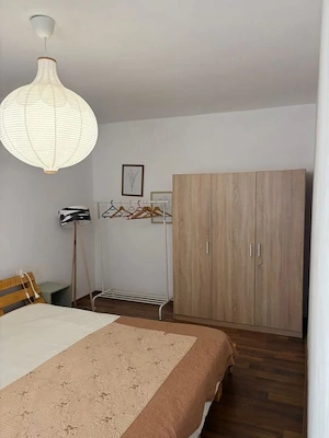 Apartament 2 camere, 50mp, parter, zona Muzeul Apei , 5min de VIVO - imagine 7