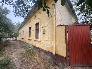 Casa batraneasca si teren de 1439mp, in Dudestii Vechi, Timis