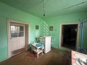 Casa batraneasca si teren de 1439mp, in Dudestii Vechi, Timis - imagine 6