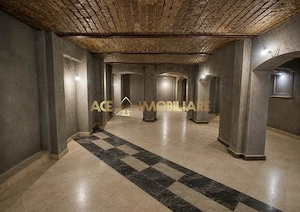 Spatiu comercial | Cismigiu | 200 mp | Centrala termica - imagine 4