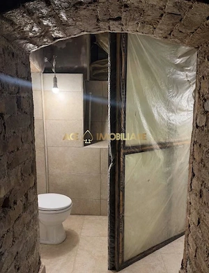 Spatiu comercial | Cismigiu | 200 mp | Centrala termica - imagine 6