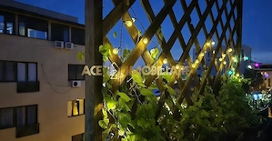 2 Camere de inchiriat | Damaroaia | Centrala | Parcare - imagine 10