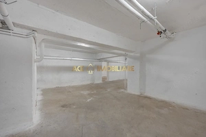 Spatiu comercial | 340 mp | Lift marfa | Curent electric trifazic  - imagine 12