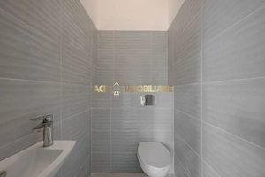 Spatiu comercial | Parcul Carol | 60mp | Centrala | Stradal - imagine 3
