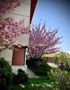 Casa de Vanzare | 6 Camere | Baneasa | Centrala | Parcare | Curte - imagine 15