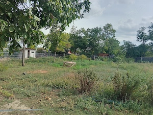 Casa+2000m2, zona centrala in sat Oprisenesti, jud Braila - imagine 5