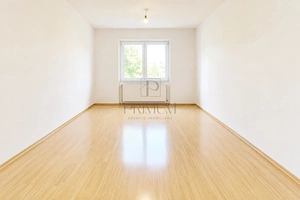 BLASCOVICI - 1 CAM  - ETAJ 1 - RENOVAT - BUCATARIE MOBILATA - imagine 2