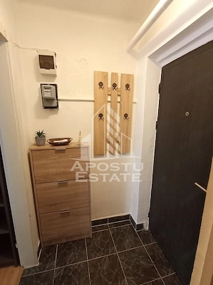 Apartament cu 2 camere de închiriat-  zona Blv. Victor Babes - imagine 6