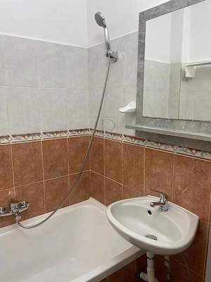 BLASCOVICI- AP. 1 CAMERA - mobilat, utilat, SPATIOS - imagine 4