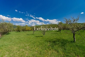 Teren Campulung Muscel - Valea Mare Pravat - 9400 mp, utilitati - imagine 5