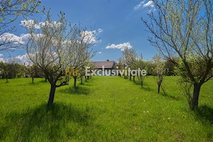 Teren Campulung Muscel - Valea Mare Pravat - 9400 mp, utilitati