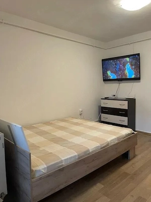 Apartament cu 1 camera in Alexandru cel Bun - imagine 3