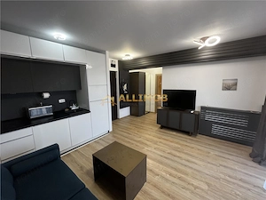 Apartament de inchiriat  2 camere | Snagov Lake Apartments | 50 mp | Vedere la lac |   - imagine 4