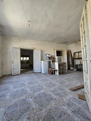 Rusu Sirianu- casa individuala- constructie caramida- 650 mp - imagine 5