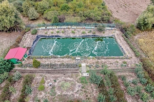  Mai mult decât o casă: libertatea de a trăi aproape de natură - imagine 4
