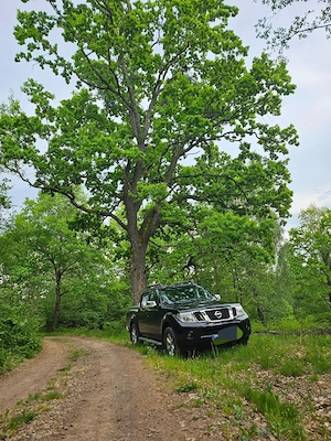 Nissan Navara 2.5 dCi   190 CP   4x4   2010   195.296 km - imagine 9