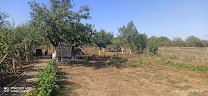 Casa in Ghioroc, cu un teren in suprafata de 2259 mp  - imagine 2
