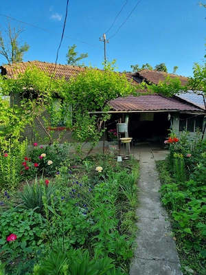 Casa cu teren de vanzare - imagine 3